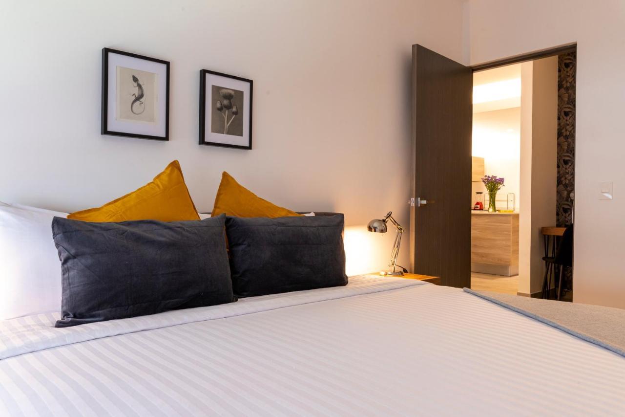 Nido At Neuchatel Polanco Mexikóváros Kültér fotó
